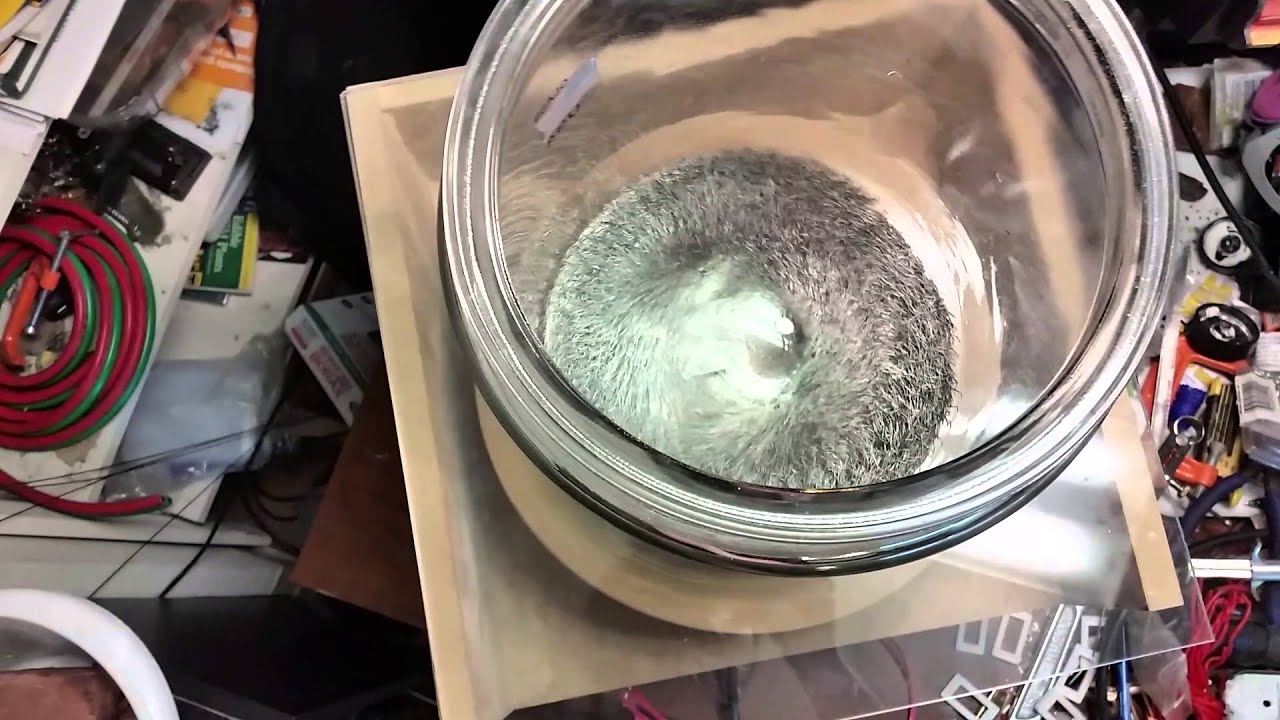 Magnetic polisher