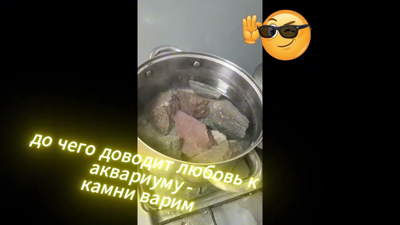 Как мы создавали аквариумную декорацию, как варили камни, топили бамбук и мох мотали.