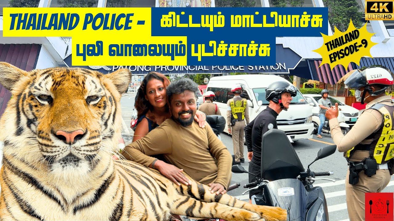 Tiger Encounter in Thailand | Thailand Tiger kingdom A-Z Details