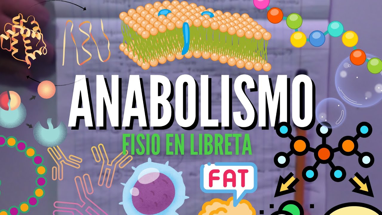¿Que es el ANABOLISMO? | RESUMEN COMPLETO | Anatomia en Enfermeria