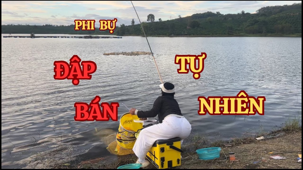 Câu cá ở đập bán tự nhiên , đụng nhiều phi khủng cực đã … 