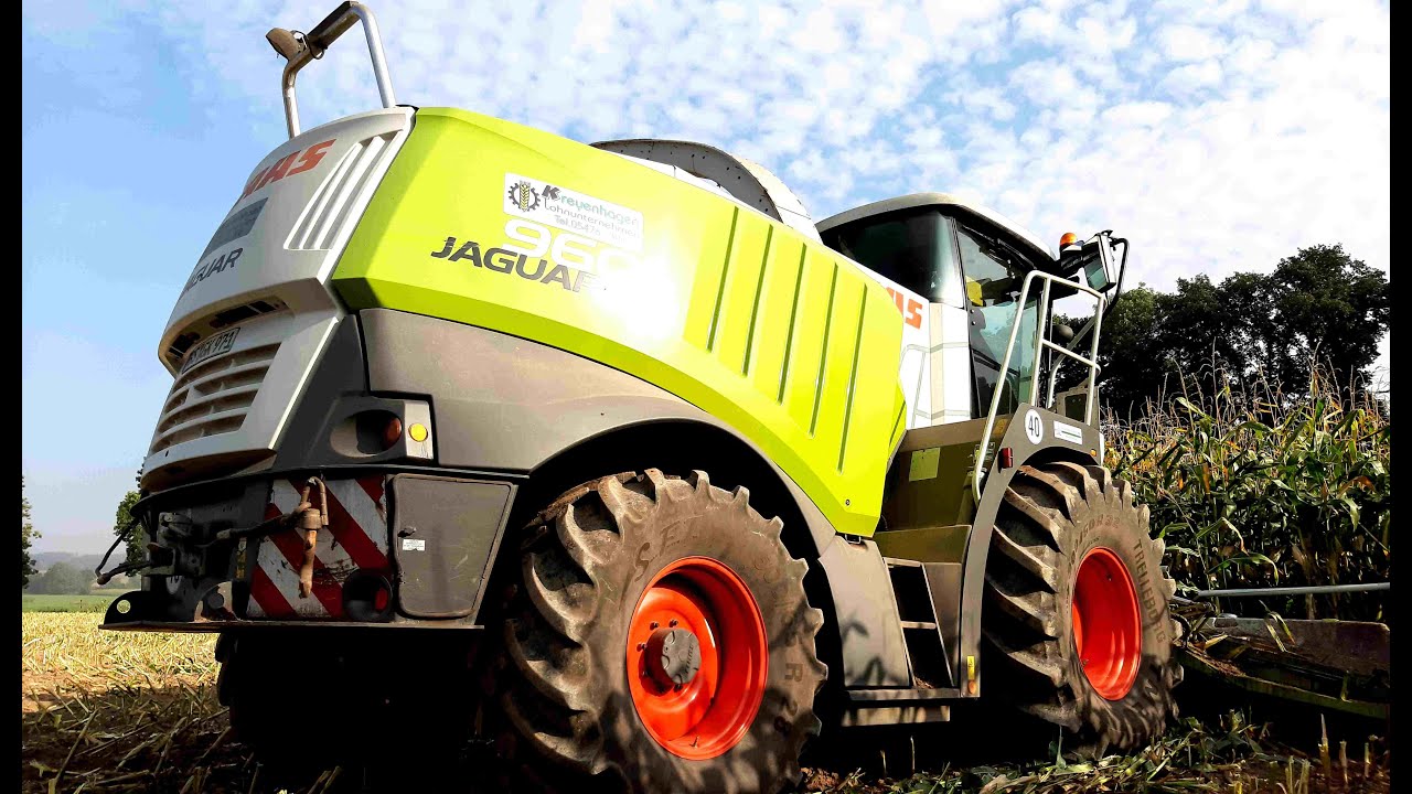 Mais häckseln mit CLAAS Jaguar 960 mit 12 Reiher ORBIS 900 Vorsatz