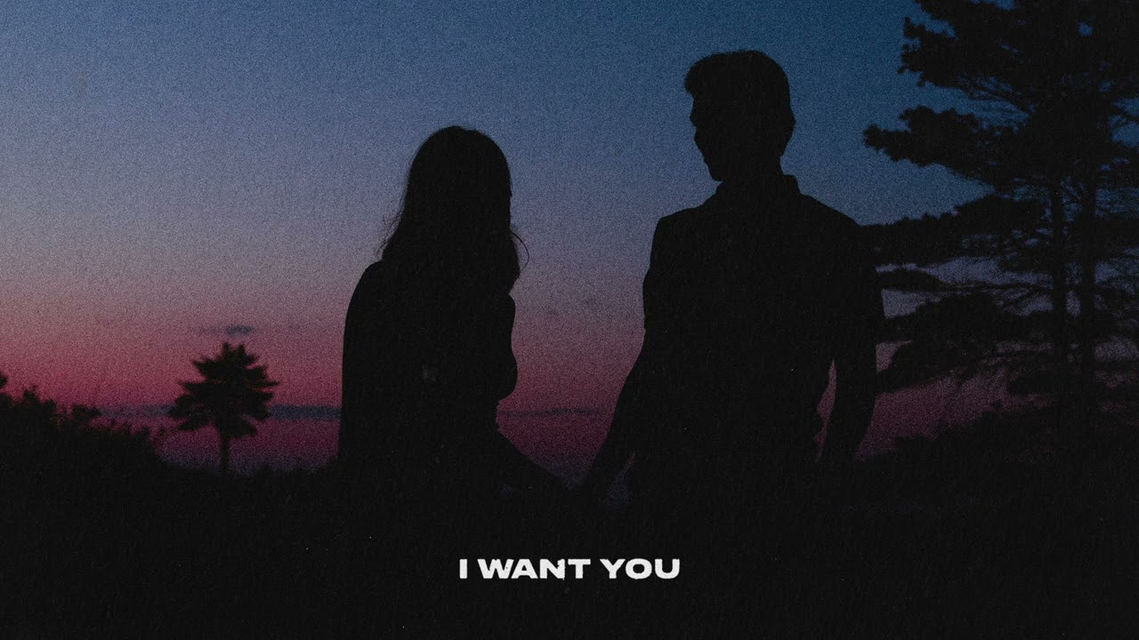 Ivan B - I Want You (official Audio)