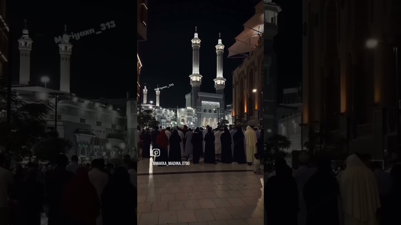 #makha madina#palce #cute #love#minivlog