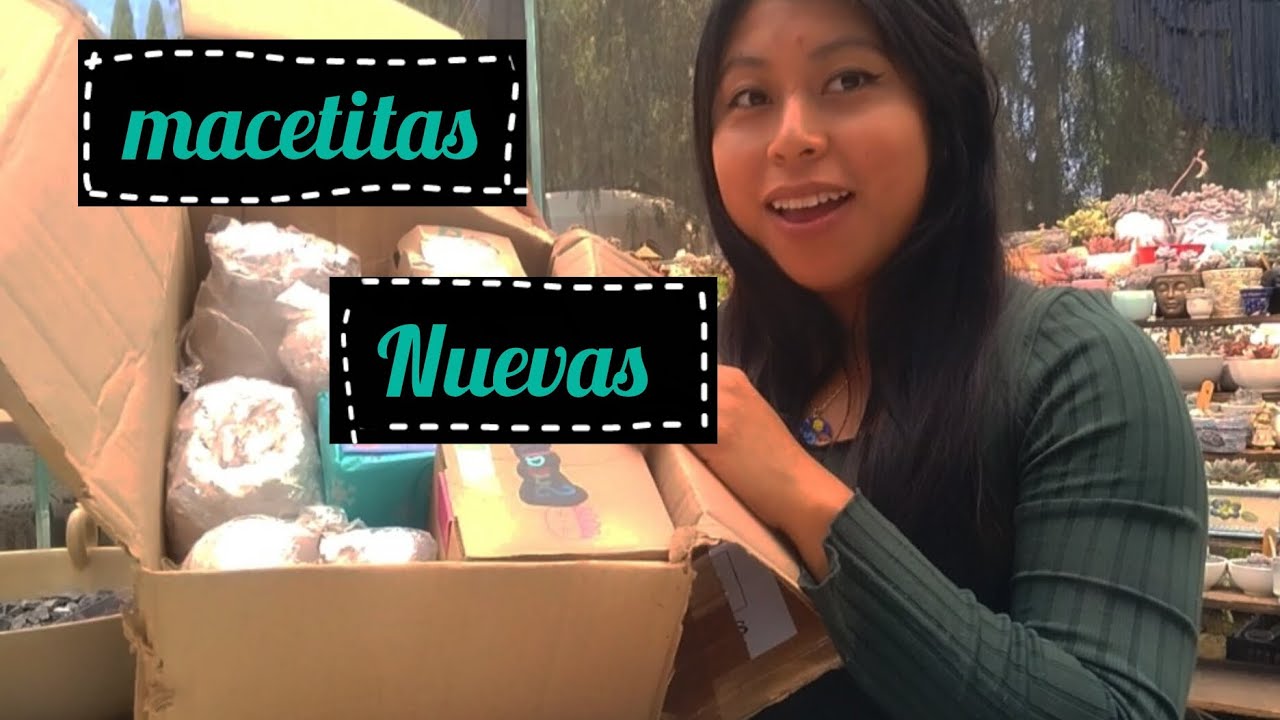 Llegó cajita de macetitas!! 