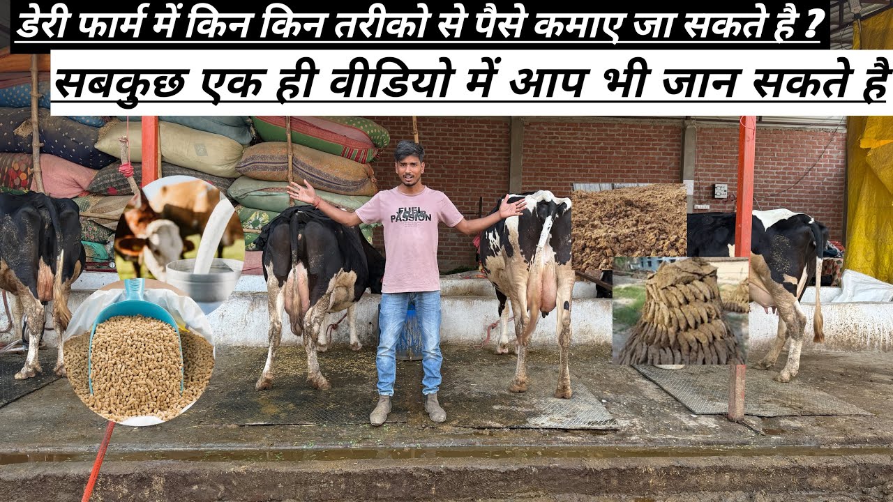 डेरी फार्मिंग में किन किन तरीकों से से पैसे कमा सकते है ? #dairyfarming #farming #viral 