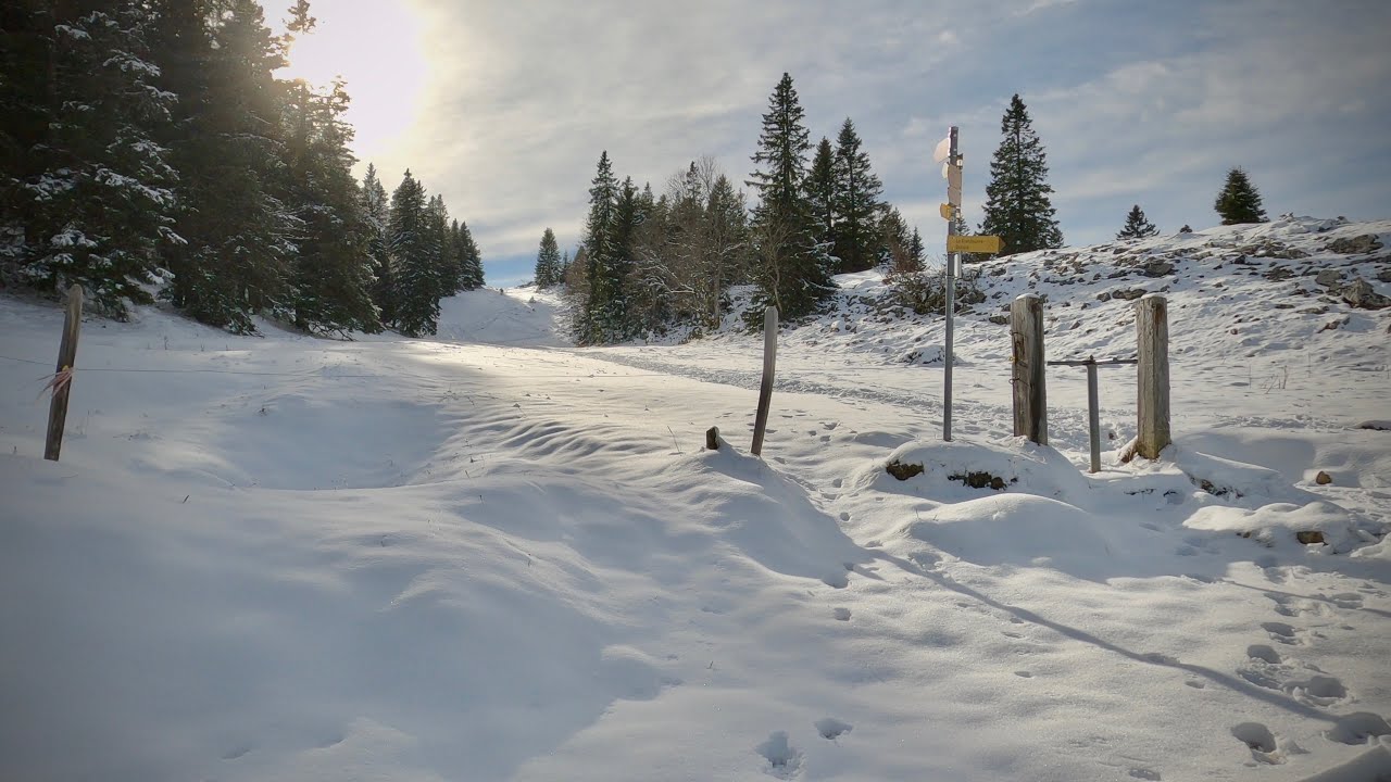 Jura-Höhenweg 11. Etappe: Les Rochats - Ste-Croix