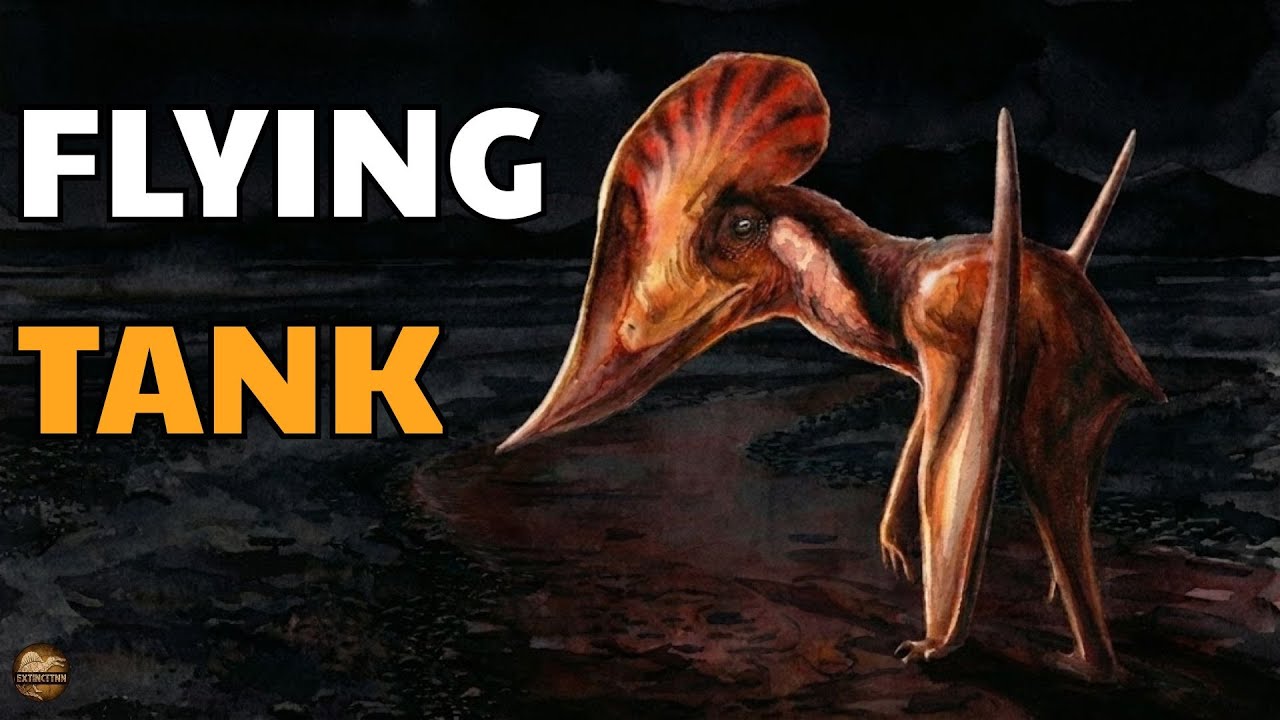 Hatzegopteryx : Why It Was Deadlier Than Quetzalcoatlus