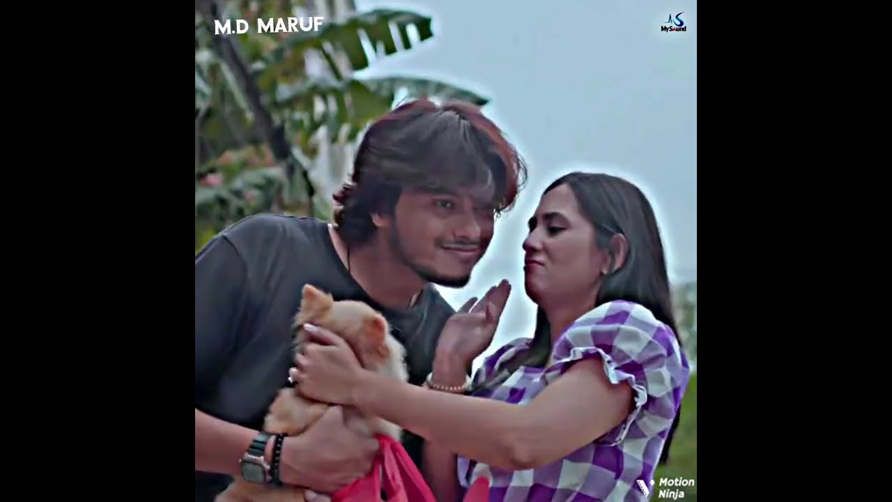 কু.কু.রকে কু.ত্তা বলা যাবে না, সম্মান দিয়ে ডাকতে হবে, গার্লফ্রেন্ড যখন ডগি লাভার @M.DMaruf-82 