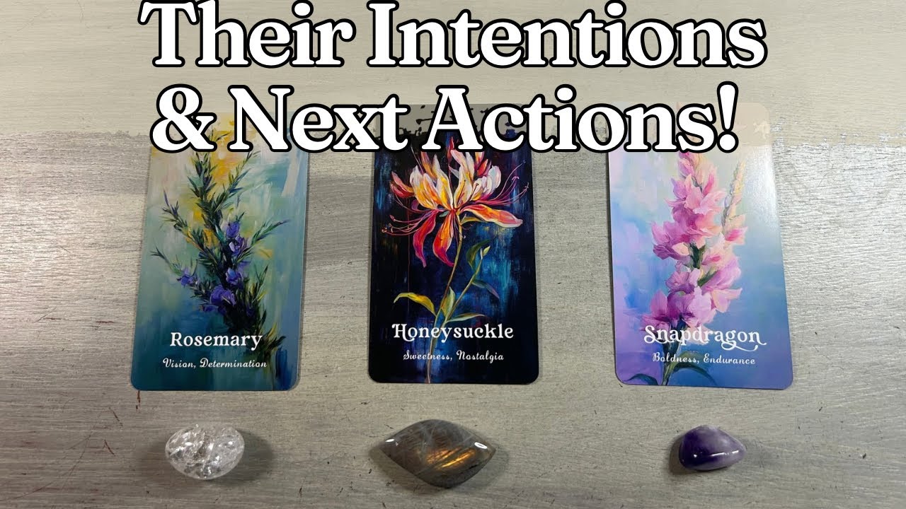 👀🤔Their Intentions and NEXT Actions!! Detailed Love Pick A Card Timeless Tarot Reading