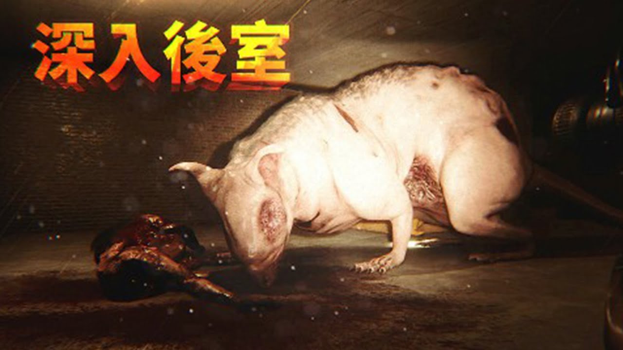 救命啊！我們又掉進了後室，而且這次竟然是在下水道裡，沒想到裡面還有一只巨大的老鼠！ | 深入後室 - Inside the Backrooms | 【薄海紙魚】