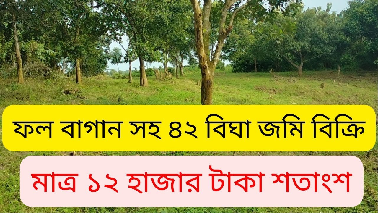 Земельный участок площадью 42 бигха продается всего за 12 тысяч така | Инвестиции в недвижимость ...
