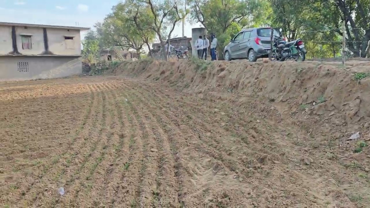 1 bigha agriculture land near payhal rajasthan at very affordable rates.