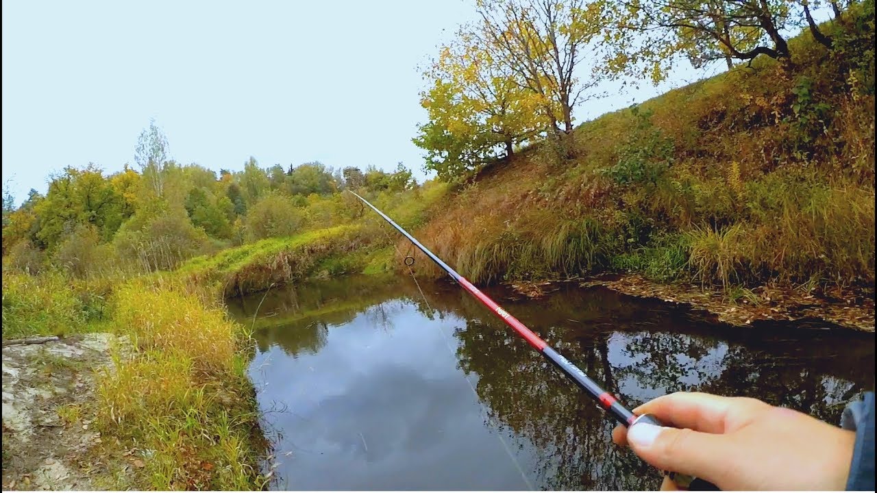 Лесная микро-речка и Клязьма осенью! Щука, судак и окунь на спиннинг!