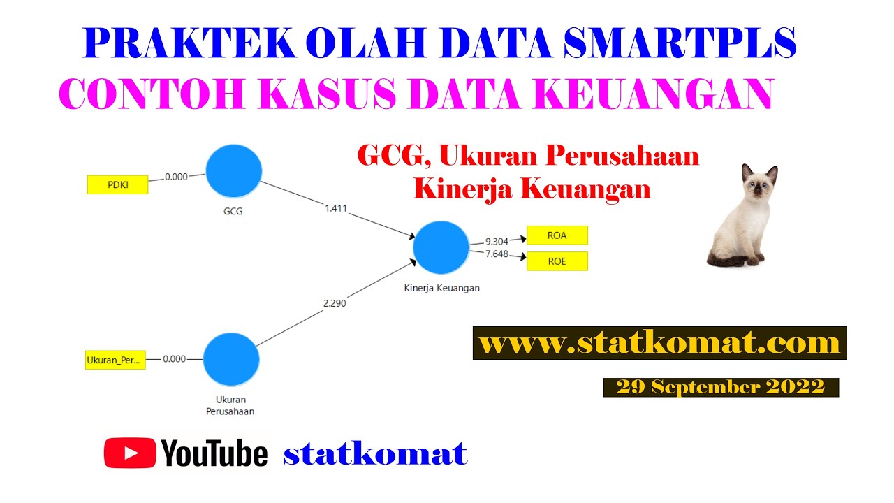 Mengolah Data dengan SmartPLS, Data Keuangan