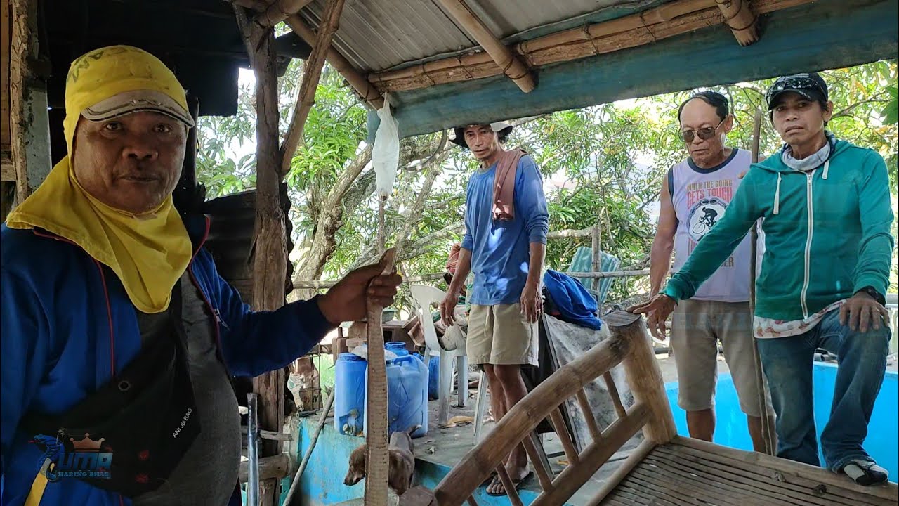 Habang na nananghalian na aktuan ang pag pasok ng cobra sa butas