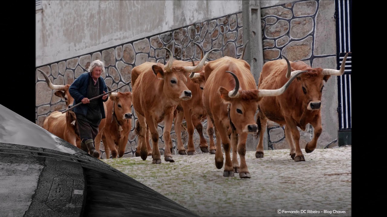 Bostofrio - Boticas - Barroso - Portugal