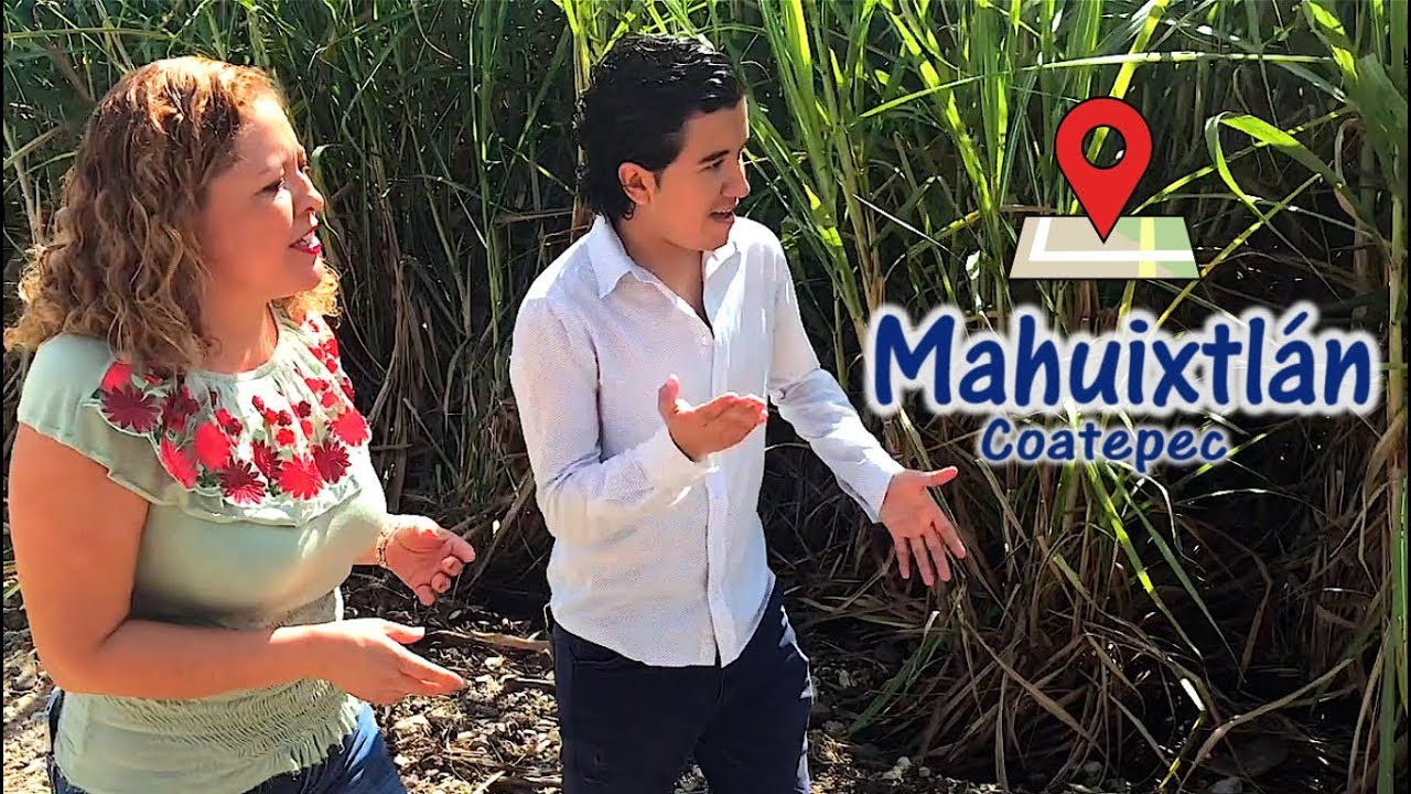 ¿CÓMO SE HACE LA CAÑA DE MAHUIXTLÁN? | MEMOPINA