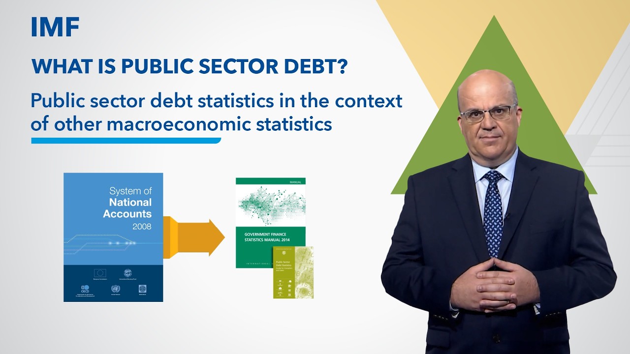 Public sector debt statistics in the context of other macroeconomic statistics