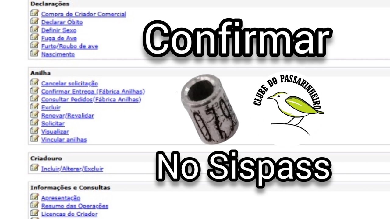 Como confirmar a entrega de anilhas no SISPASS