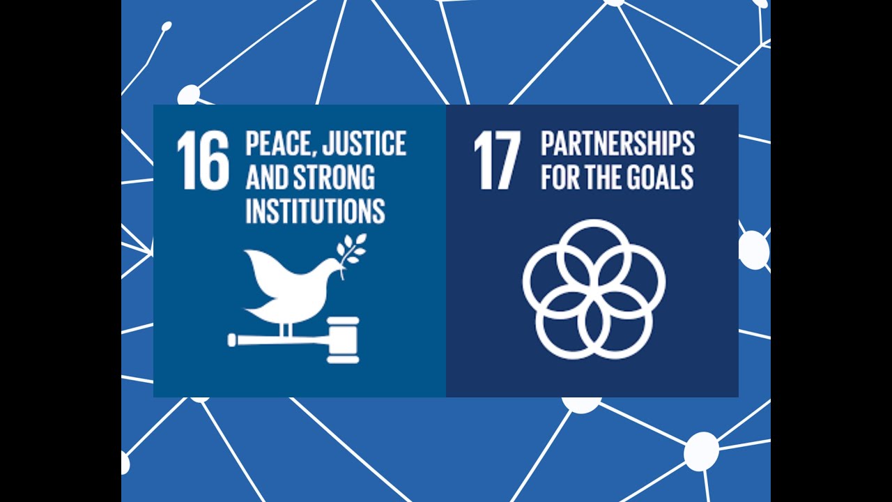 AI for SDGs : Peace & Partnership (Joint Session)