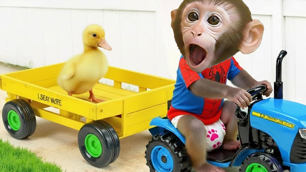 ¡El mono Bim salva a su amigo pato usando solo una tabla!
