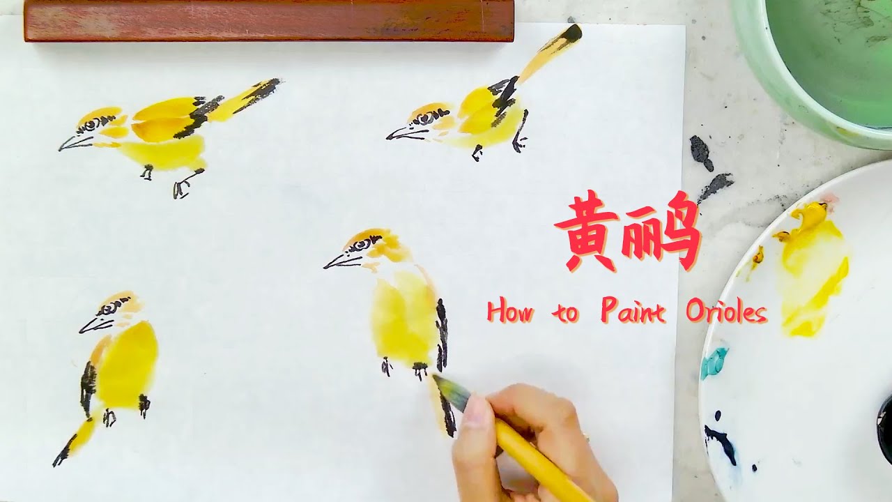 【国画】黄鹂鸟详细教程 How to Paint Orioles - Ink Wash Painting