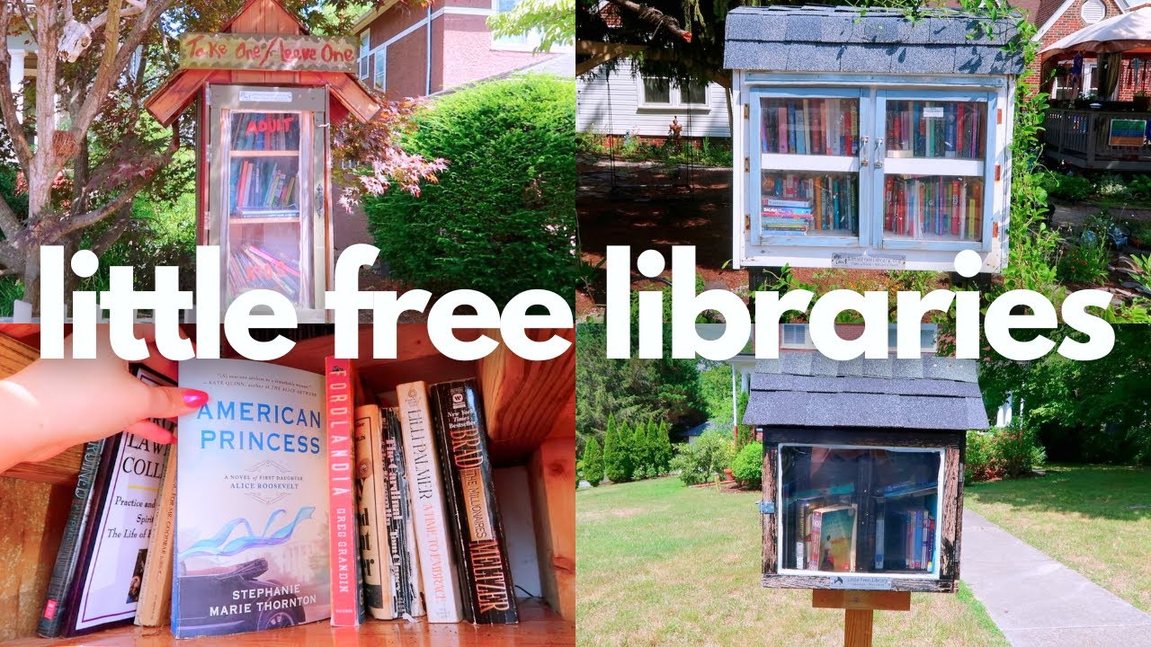 Видеоблог Little Free Library | Перевозка и вывоз книг через Little Free Libraries