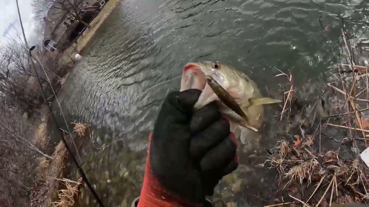 explorando nuevo lugar de pesca