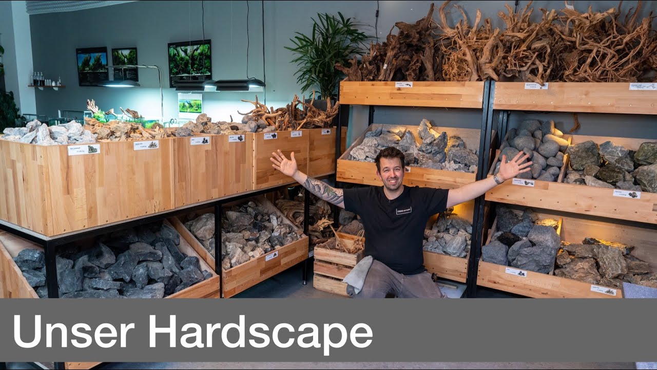 Unser Hardscape! Steine und Wurzeln für dein Aquarium! | Liquid Nature