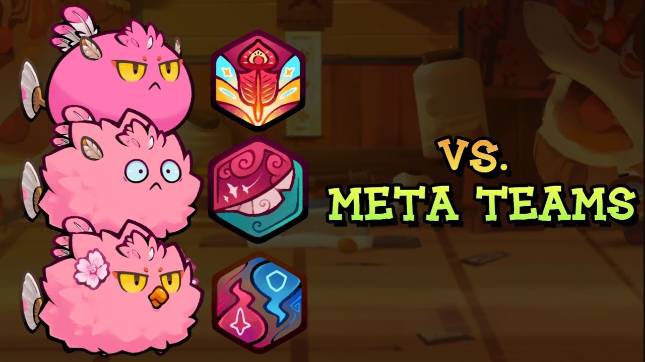 *TRIPLE BIRD VS META TEAMS* Axie Origin | Axie Infinity | Gameplay