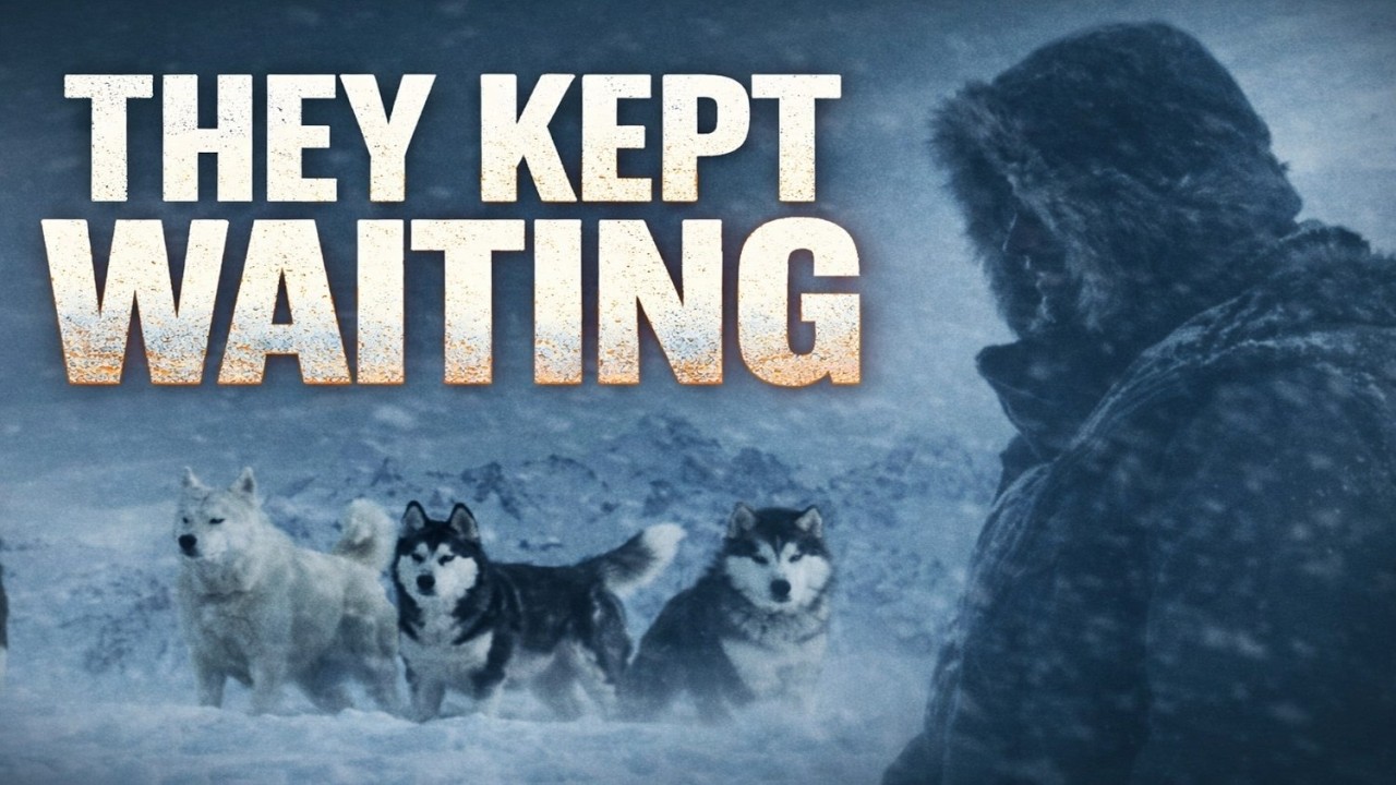 Abandoned in Antarctica… These Dogs Survived 6 Months Alone!