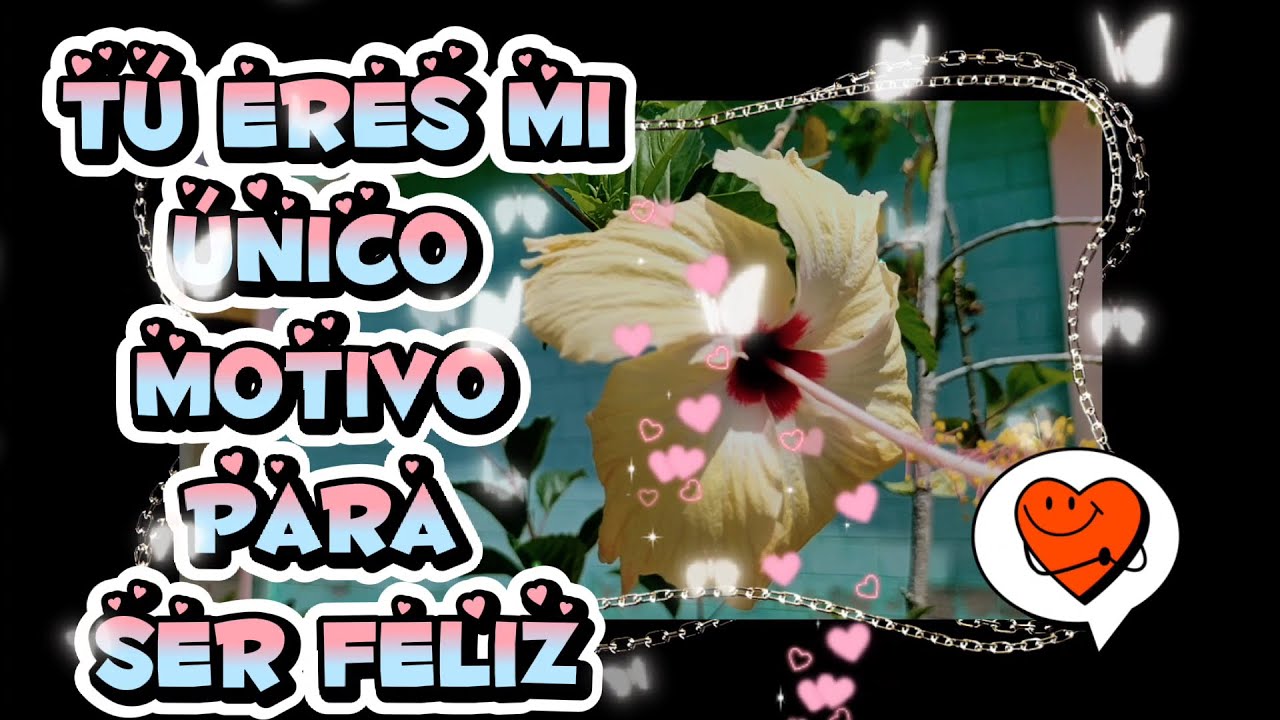 Eres el motivo de mi Felicidad Te amo | Mensajes de amor
