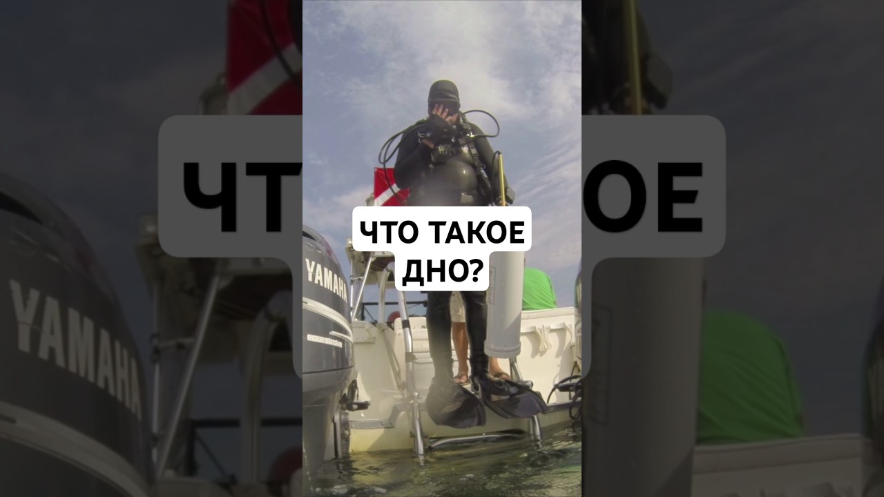Что такое дно в крипте? 