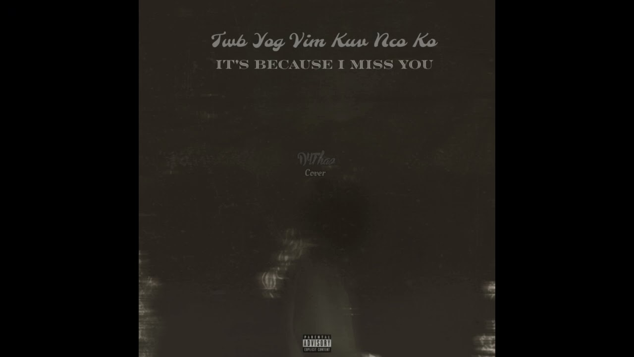 DYThao - Twb Yog Vim Kuv Nco Ko (It’s Because I Miss You) (Official Audio) 