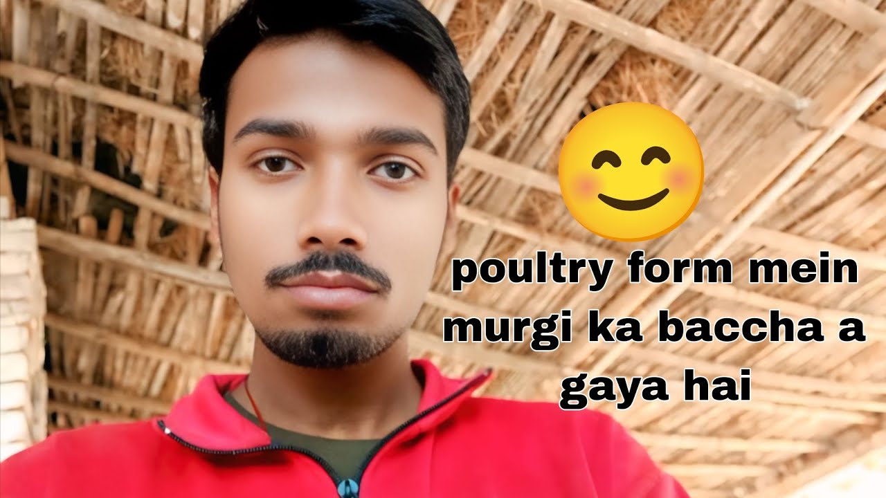 Poultry form mein murgi ka baccha a gaya hai😊 Deepak block 4K
