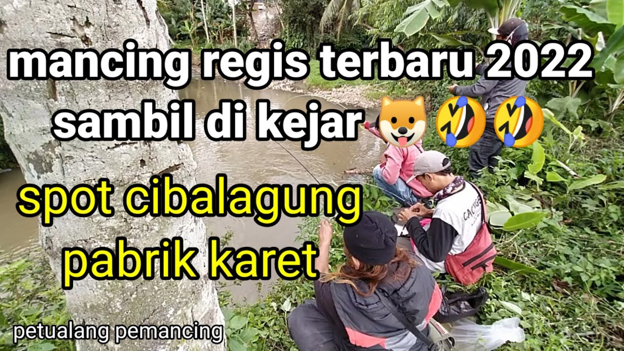 MANCING REGIS TERBARU 2022 // SPOT CIBALAGUNG