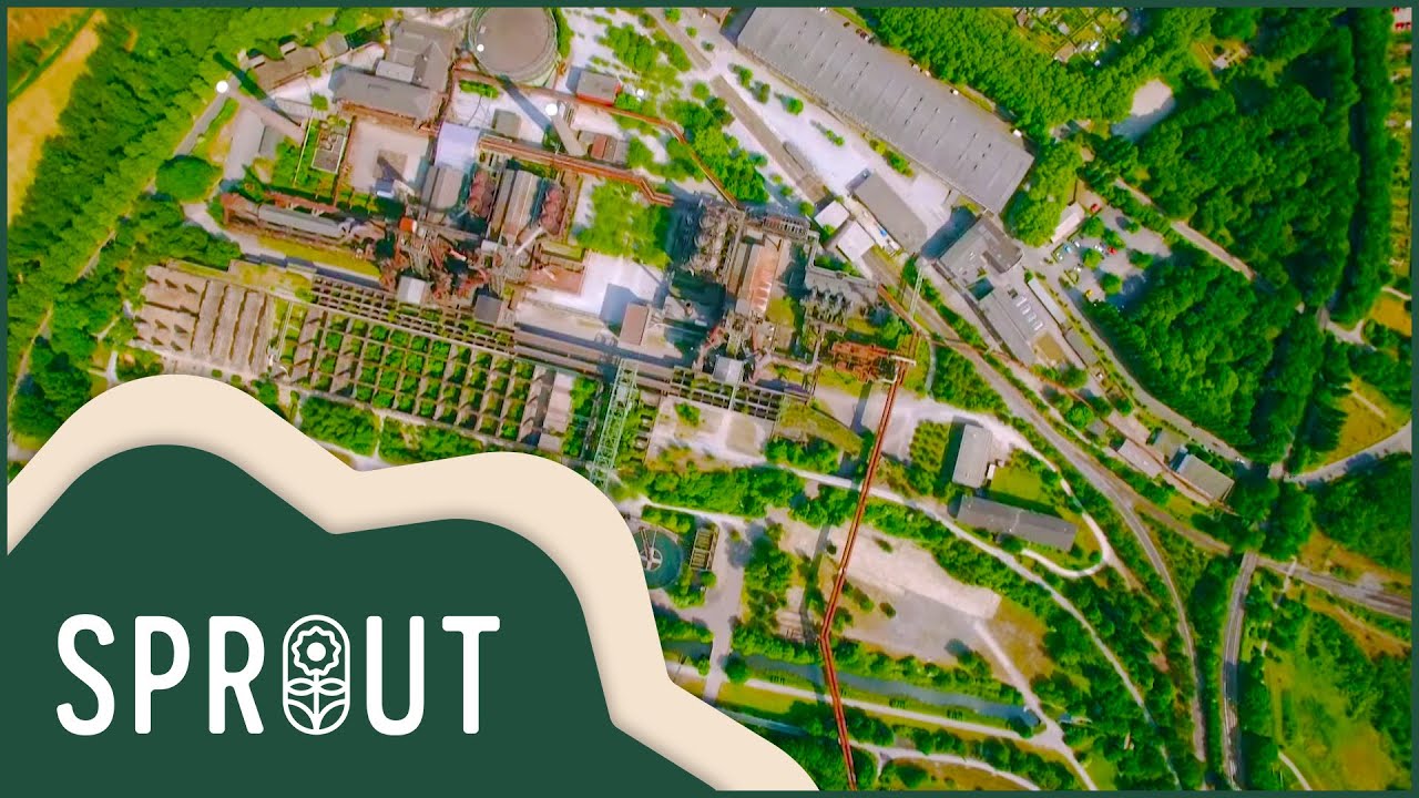 Sprout Full Episode: Nature's Victory Over Industry