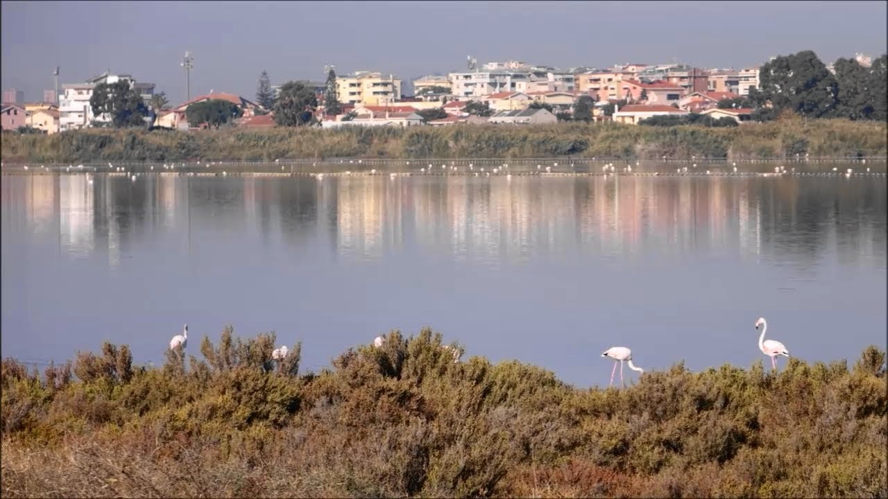 QUARTU S E Dal Poetto a Capitana