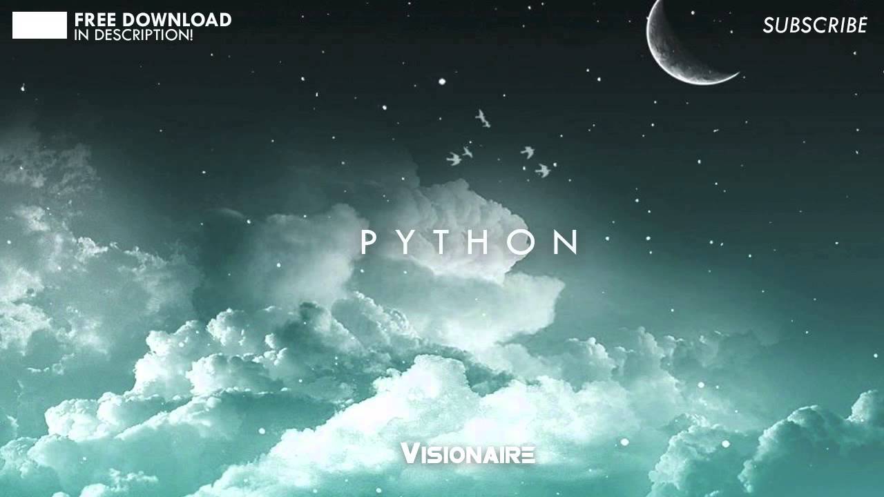 Visionaire - Python (Original Mix)