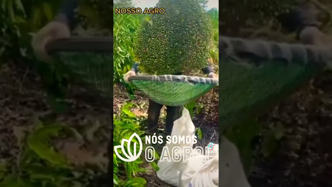 NOSSO AGRO E NOSSO CAF&Eacute;