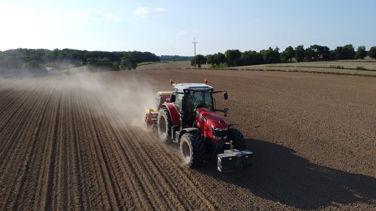SIEW RZEPAKU | TESTY SIEWNIKA VADERSTAD TEMPO T | Massey 7615 & VADERSTAD TEMPO T | GR Anioł