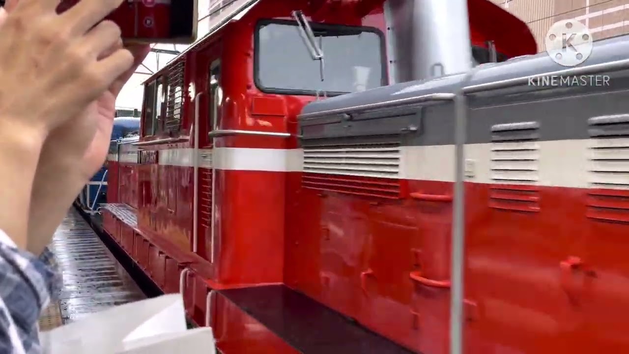 DD5形ディーゼル機関車＋EF65形電気機関車　EL・DLぐんま号横川行き　高崎駅入線