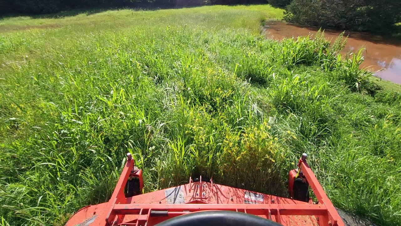First Dam Mow of 2024 - Kubota F Series
