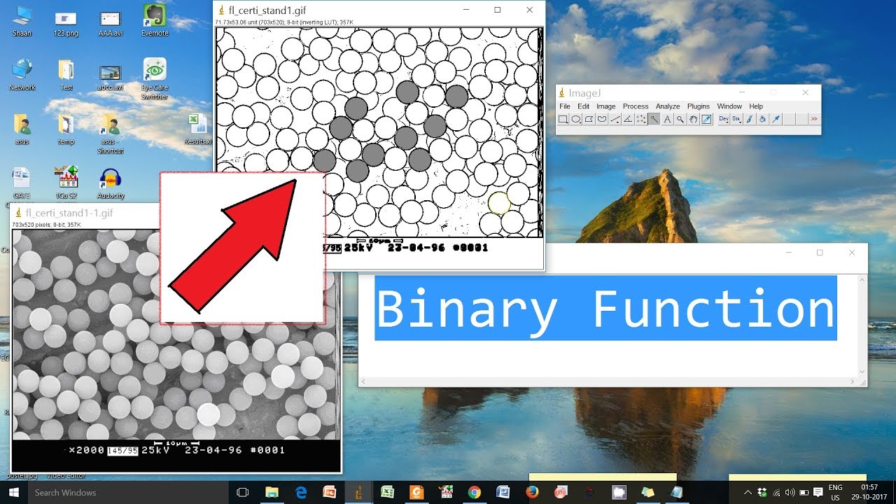 Анализ в ImageJ, часть 2: измерение площади с помощью бинарной функции и инструмента «волшебная п...