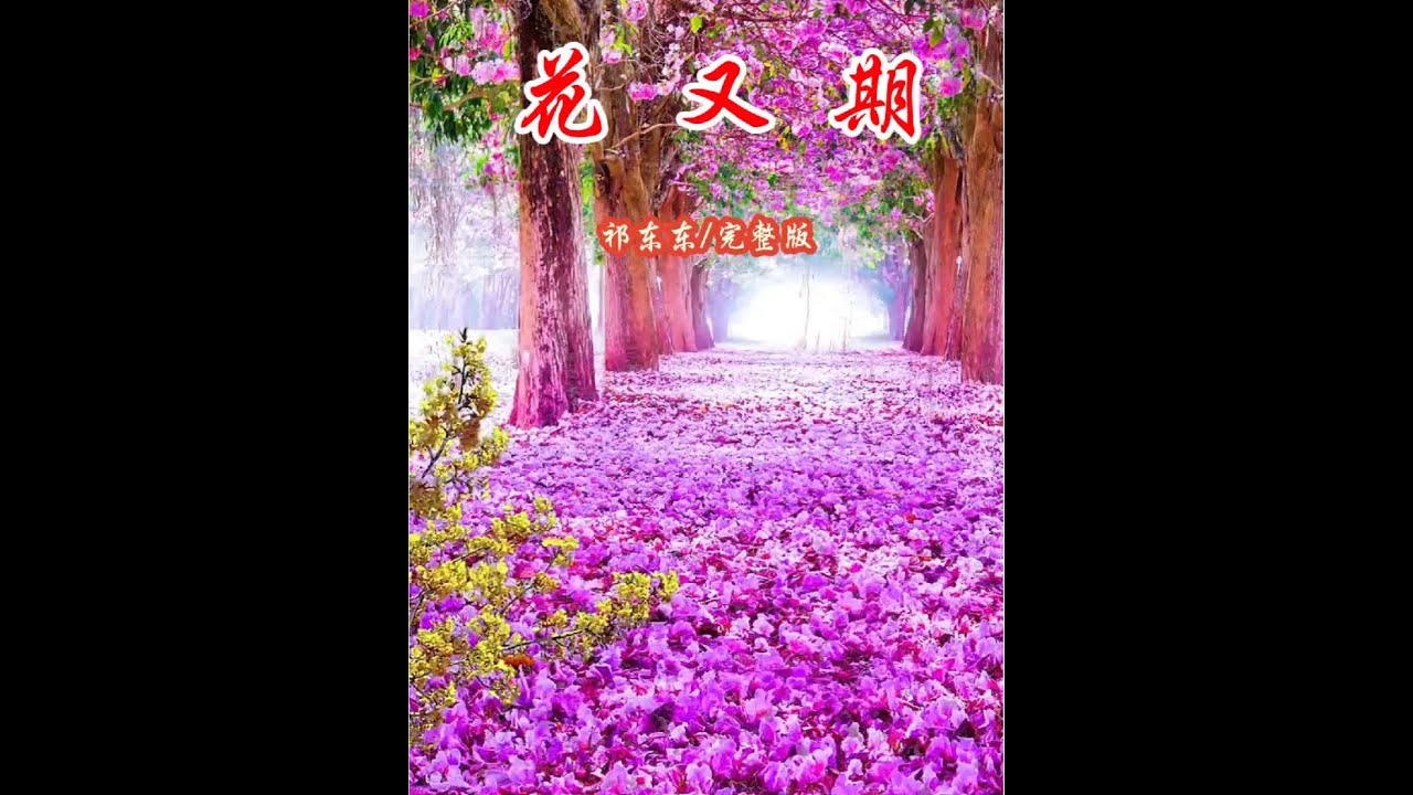 花又期#一首好听的歌分享给大家 #抖音带你去赏花 #爱音乐爱生活
