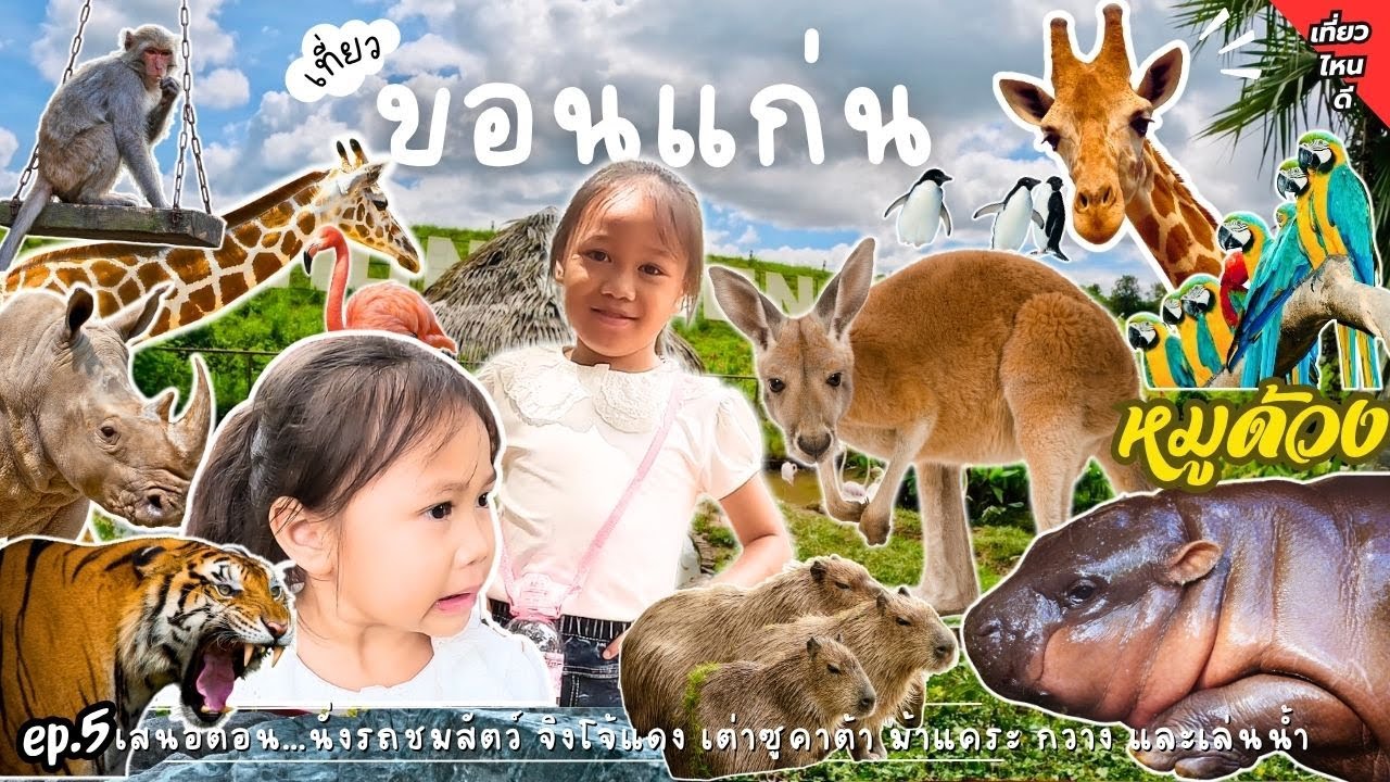 เที่ยวสวนสัตว์ขอนแก่นในราคาประหยัด ep.5 ดูจิงโจ้ เต่าซูคาต้า ม้าแคระ กวาง และเล่นน้ำ | อิมเมจเพียงออ