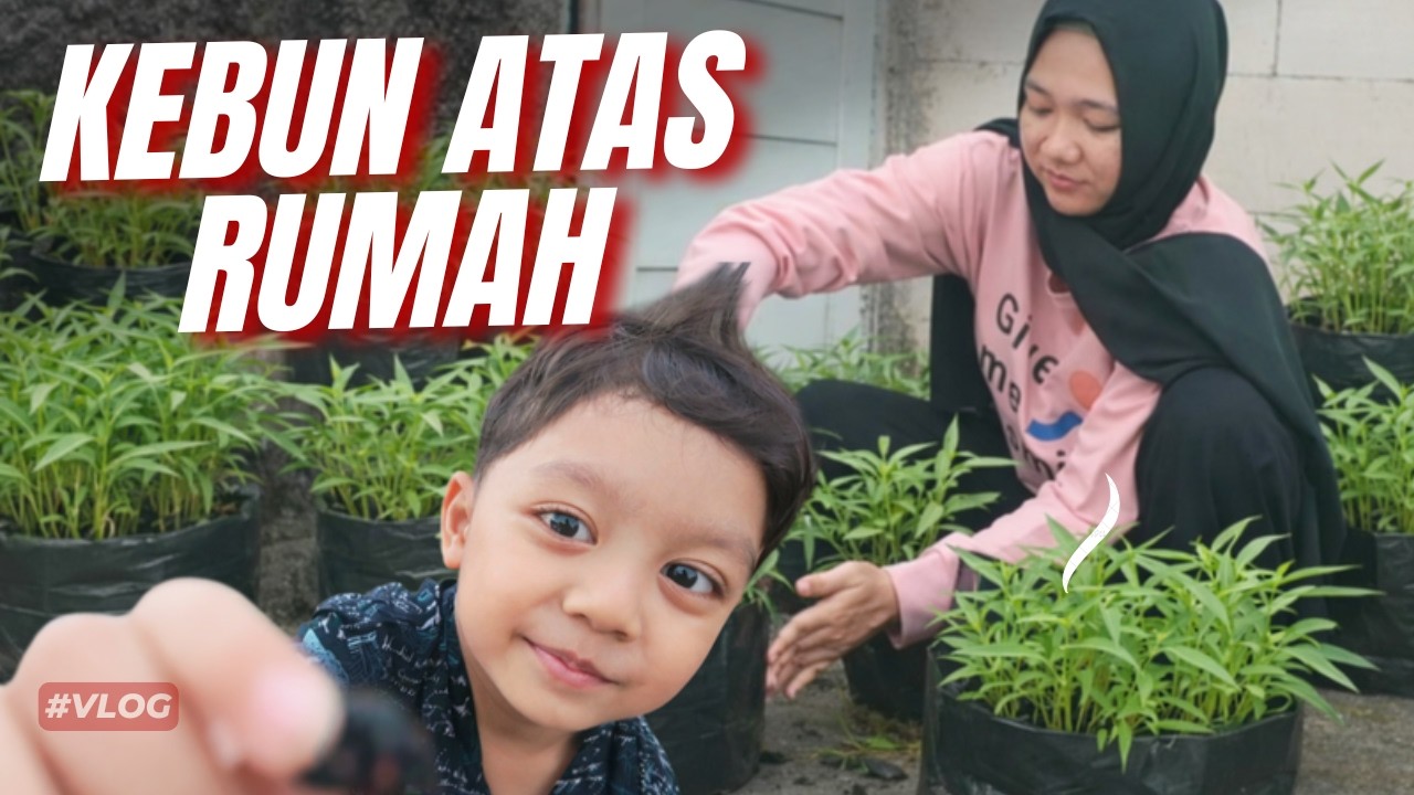 BERTANI KANGKUNG DI ATAS RUMAH