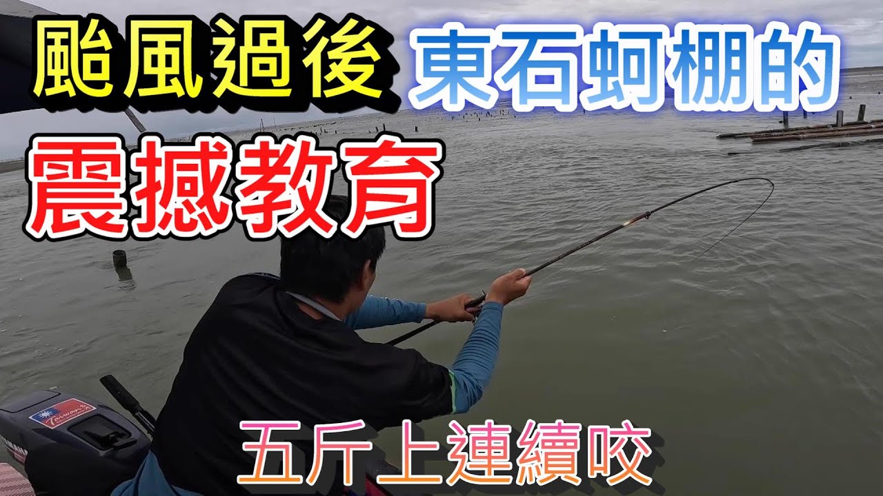 釣竿瞬間噴出消失了 一早來咬的都五斤級大魚 這地方竟然隱藏許多怪物