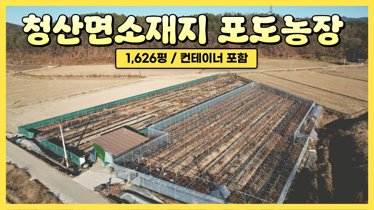 ★매물번호10680★충북 옥천/1억5500/청산면소재지 포도농장/1,626평/컨테이너1동 포함/귀농귀촌/농사지을 시골땅